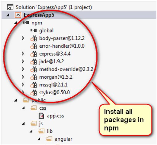 project in Visual Studio